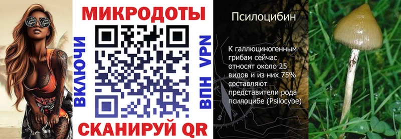 блэк спрут сайт Свирск Псилоцибиновые грибы MAGIC MUSHROOMS